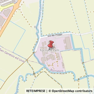 Mappa Via degli Olmi, 116, 27010 Bornasco, Pavia (Lombardia)