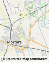 Ristoranti Mortara,27036Pavia