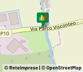 Articoli Sportivi - Dettaglio,27010Pavia