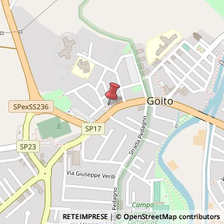 Mappa Strada Statale Goitese, 336, 46044 Goito, Mantova (Lombardia)