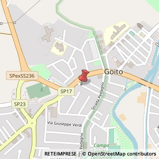 Mappa Strada Statale Goitese, 102, 46044 Goito, Mantova (Lombardia)