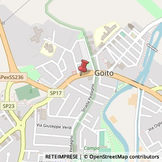 Mappa Strada Statale Goitese, 311, 46044 Goito, Mantova (Lombardia)
