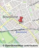 Via Giuseppe Garibaldi, 2,37051Bovolone