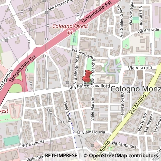 Mappa Via Felice Cavallotti, 53, 20093 Cologno Monzese, Milano (Lombardia)
