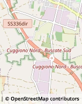 Assicurazioni Cuggiono,20012Milano