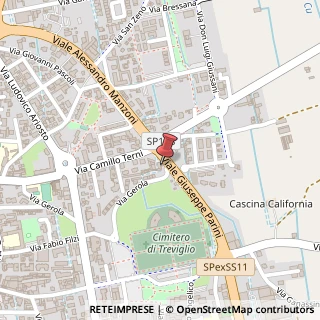 Mappa Via C. Terni, 38, 24047 Treviglio, Bergamo (Lombardia)