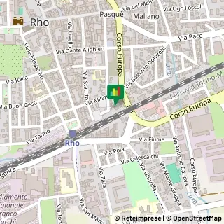 Mappa Vicolo Fiorenza Castelli, 2, 20017 Rho, Milano (Lombardia)