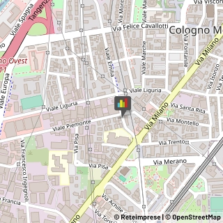 Abbigliamento Intimo e Biancheria Intima - Vendita Cologno Monzese,20093Milano