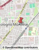 Viale Piave, 40,20093Cologno Monzese