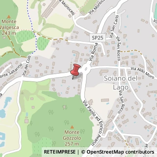 Mappa Via dei Salici, 5, 25080 Soiano del Lago, Brescia (Lombardia)