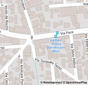 Mappa Piazza Don Minzoni, 20017 Rho MI, Italia (0.016)