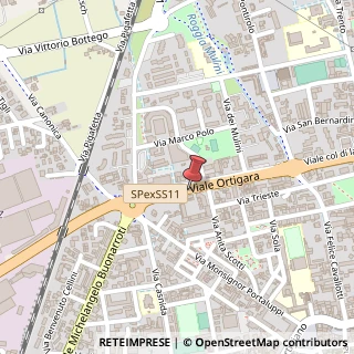 Mappa Viale Ortigara, 12, 24047 Treviglio, Bergamo (Lombardia)