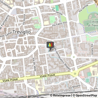 Autoveicoli Elettrici Treviglio,24047Bergamo