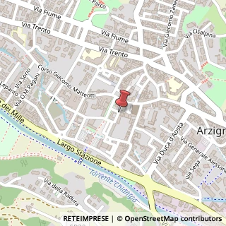 Mappa Via Rizzetti, 15, 36071 Arzignano, Vicenza (Veneto)