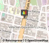 Minerali, Conchiglie e Fossili - Collezionismo Milano,20126Milano