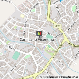 Organizzazioni, Associazioni ed Enti Internazionali Camisano Vicentino,36043Vicenza