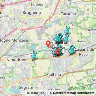 Mappa Via Michelangelo Buonarroti, 20063 Cernusco sul Naviglio MI, Italia (1.268)