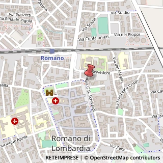 Mappa Via E. Schivardi, 54, 24058 Romano di Lombardia, Bergamo (Lombardia)