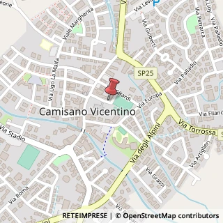 Mappa Piazzale Papa Pio X, 27, 36043 Camisano Vicentino, Vicenza (Veneto)
