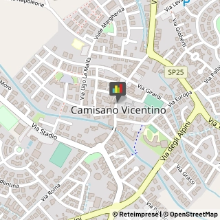 Organizzazioni, Associazioni ed Enti Internazionali Camisano Vicentino,36043Vicenza