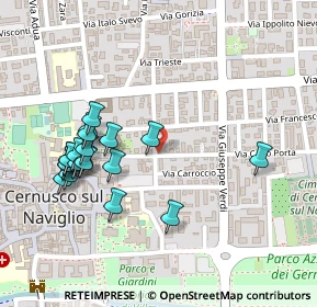 Mappa Via Cardinale Ferrari, 20063 Cernusco sul Naviglio MI, Italia (0.2485)