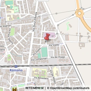 Mappa Via mons. f. carminati, 1, 24058 Romano di Lombardia, Bergamo (Lombardia)