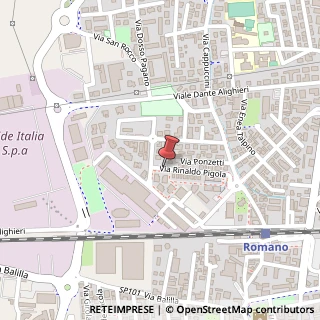 Mappa Via Rinaldo Pigola, 1, 24058 Romano di Lombardia, Bergamo (Lombardia)