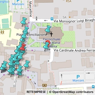 Mappa Piazza Conciliazione, 20063 Cernusco sul Naviglio MI, Italia (0.09286)