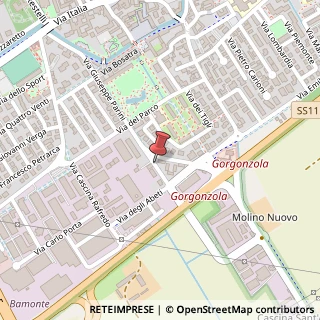 Mappa Via Giuseppe Parini, 82, 20064 Gorgonzola, Milano (Lombardia)