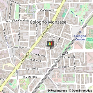 Locali, Birrerie e Pub Cologno Monzese,20093Milano