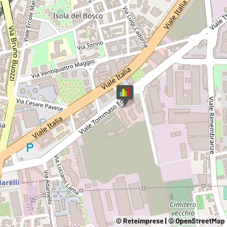 Consulenza Industriale,20099Milano