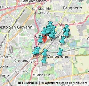 Mappa Via Pisa, 20093 Cologno Monzese MI, Italia (1.2005)