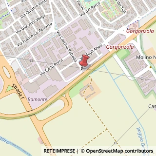 Mappa Via Carlo Cattaneo, 10/12, 20064 Gorgonzola, Milano (Lombardia)