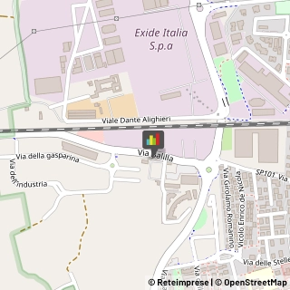 Animali Domestici - Centri Allevamento e Addestramento,24058Bergamo