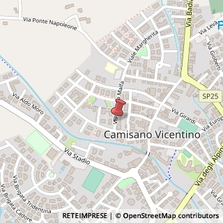Mappa Viale Ugo la Malfa, 3, 36043 Camisano Vicentino, Vicenza (Veneto)