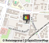 Autotrasporti Brescia,25124Brescia