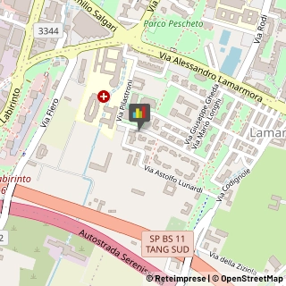 Restauratori d'Arte Brescia,25124Brescia