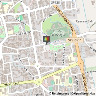 Autoveicoli Elettrici Treviglio,24047Bergamo