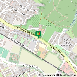 Borgo Pietro Wuhrer, 119,25123Brescia