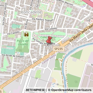 Mappa Via Giorgio Amendola, 16, 25030 Roncadelle, Brescia (Lombardia)