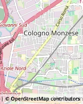 Corrieri Cologno Monzese,20093Milano