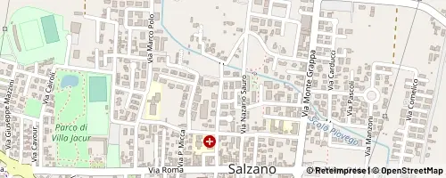Mappa Salzano