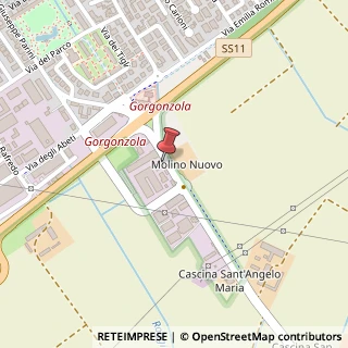 Mappa Via Giuseppe Parini, 96, 20064 Gorgonzola, Milano (Lombardia)