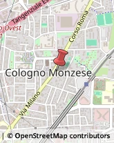 Viale Piave, 9,20093Cologno Monzese