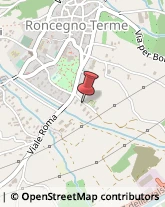 Agenzie Immobiliari Roncegno Terme,38050Trento