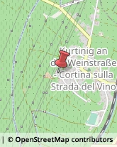 Vini e Spumanti - Produzione e Ingrosso Cortina sulla Strada del Vino,39040Bolzano