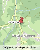 Stazioni di Servizio e Distribuzione Carburanti Selva di Cadore,32020Belluno