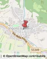 Cooperative e Consorzi Vigolo Vattaro,38049Trento