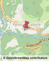 Corpo Forestale Vigo di Cadore,32040Belluno