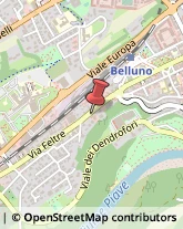 Liquori - Produzione Belluno,32100Belluno